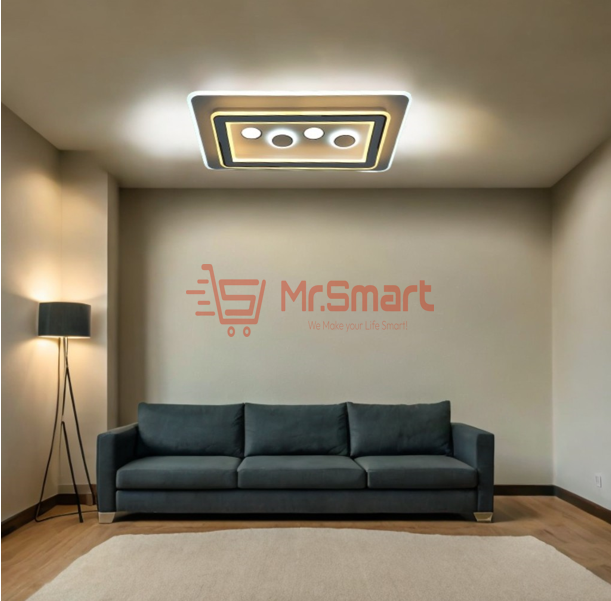 Modern Style Acrylic Ceiling Light - CE021. - Mr.Smart SA's Best Online Shopping Store