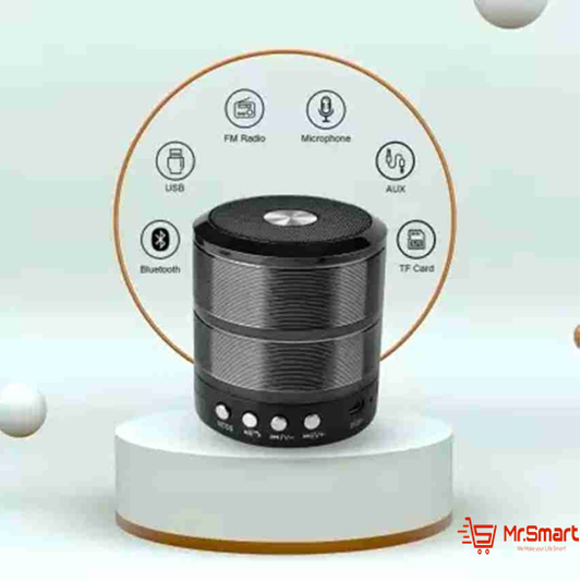RKS-794 Mini Bluetooth Speaker. - Mr.Smart SA's Best Online Shopping Store
