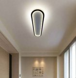 LED Acrylic ceiling light