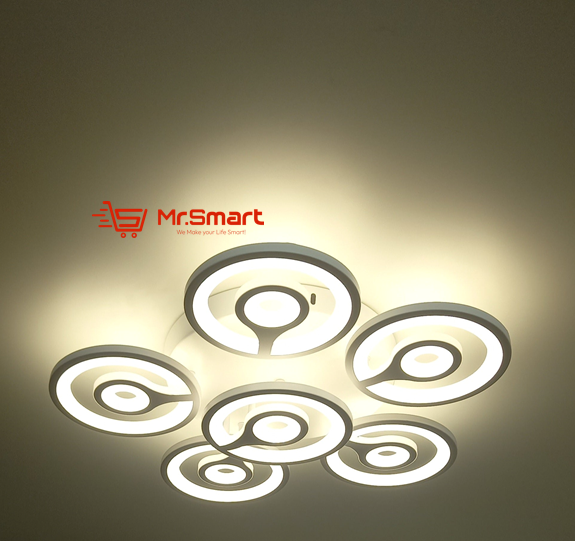 Modern Design Ceiling Light. - Mr.Smart SA's Best Online Shopping Store