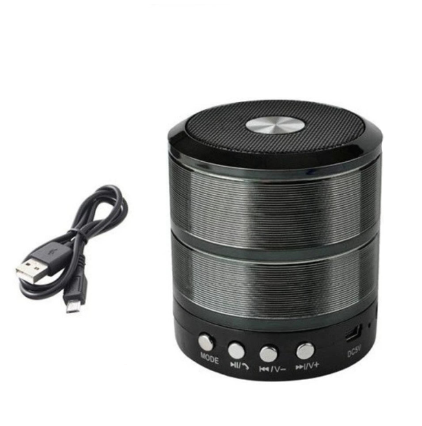 RKS-794 Mini Bluetooth Speaker. - Mr.Smart SA's Best Online Shopping Store