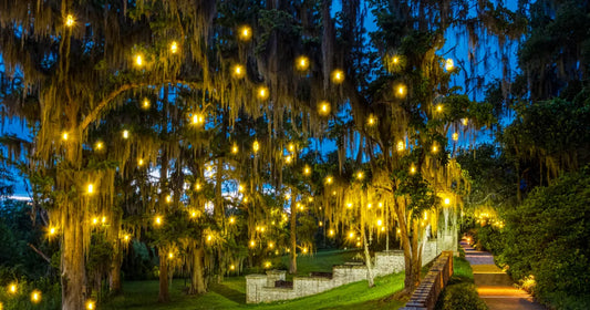 garden lighting South Africa