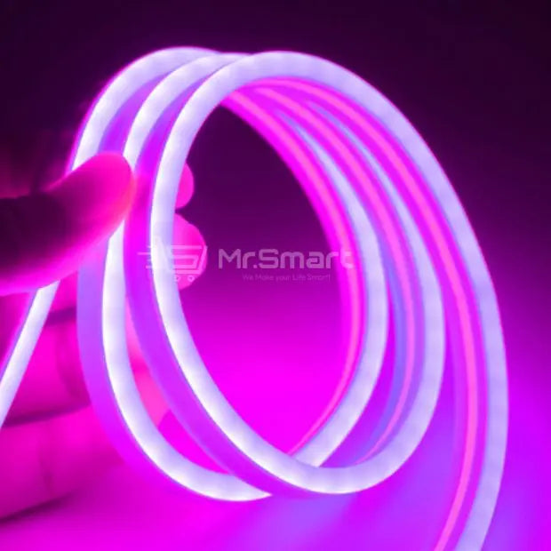 12V 5M LED Neon Strip Light. - Mr.Smart SA's Best Online Shopping Store