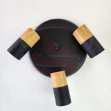 A modern indoor wall spotlight featuring a black rod base and wooden cylinder heads, 3 in One GU10 Globe for home and commercial interiors.
Smart Life Lighting & Electrical