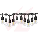 50m IP65 waterproof LED string light with 100 transparent decorative hanging bulbs.
Smart Life Lighting & Electrical