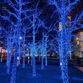 50M string Fairy Light - 220V.
Smart Life Lighting & Electrical