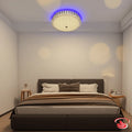 Modern CE-011 LED ceiling light with crystal-cut border, 3-colour changing illumination, and a soothing blue night glow for elegant home lighting.
Smart Life Lighting & Electrical