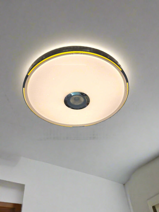 Bluetooth speaker ceiling light - W903-500YE. - Mr.Smart SA's Best Online Shopping Store
