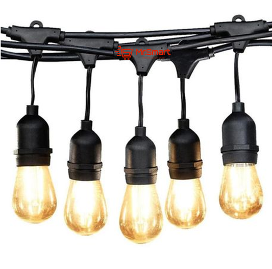 5m 10 Bulbs Plug-In LED Festoon String Light (Bulbs Included). - Mr.Smart SA's Best Online Shopping Store