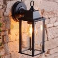 Vintage Industrial Wall Lamp with Clear Glass
Smart Life Lighting & Electrical